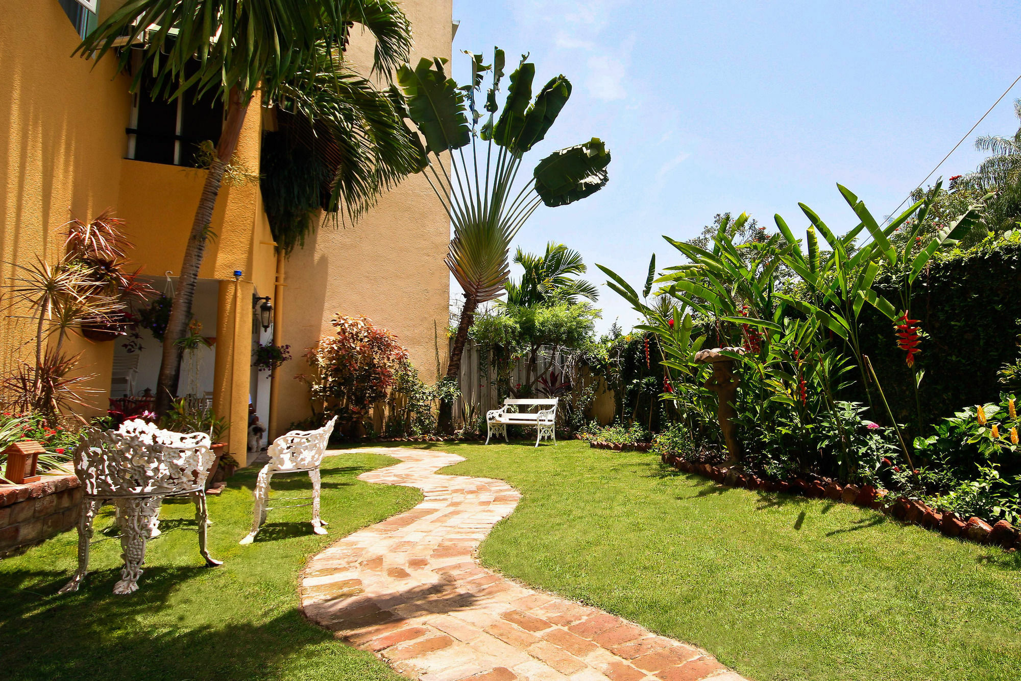 Cattleya Luxury Suites كينغستون المظهر الخارجي الصورة